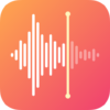 voice recorder logo