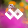 wildpapers android logo