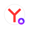 yandex browser with protect logo